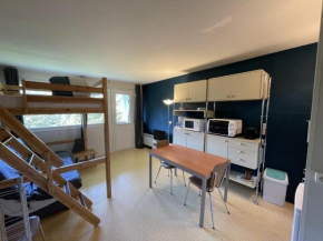Appartement cosy avec balcon, accès direct piste et parking privatif - FR-1-787-20